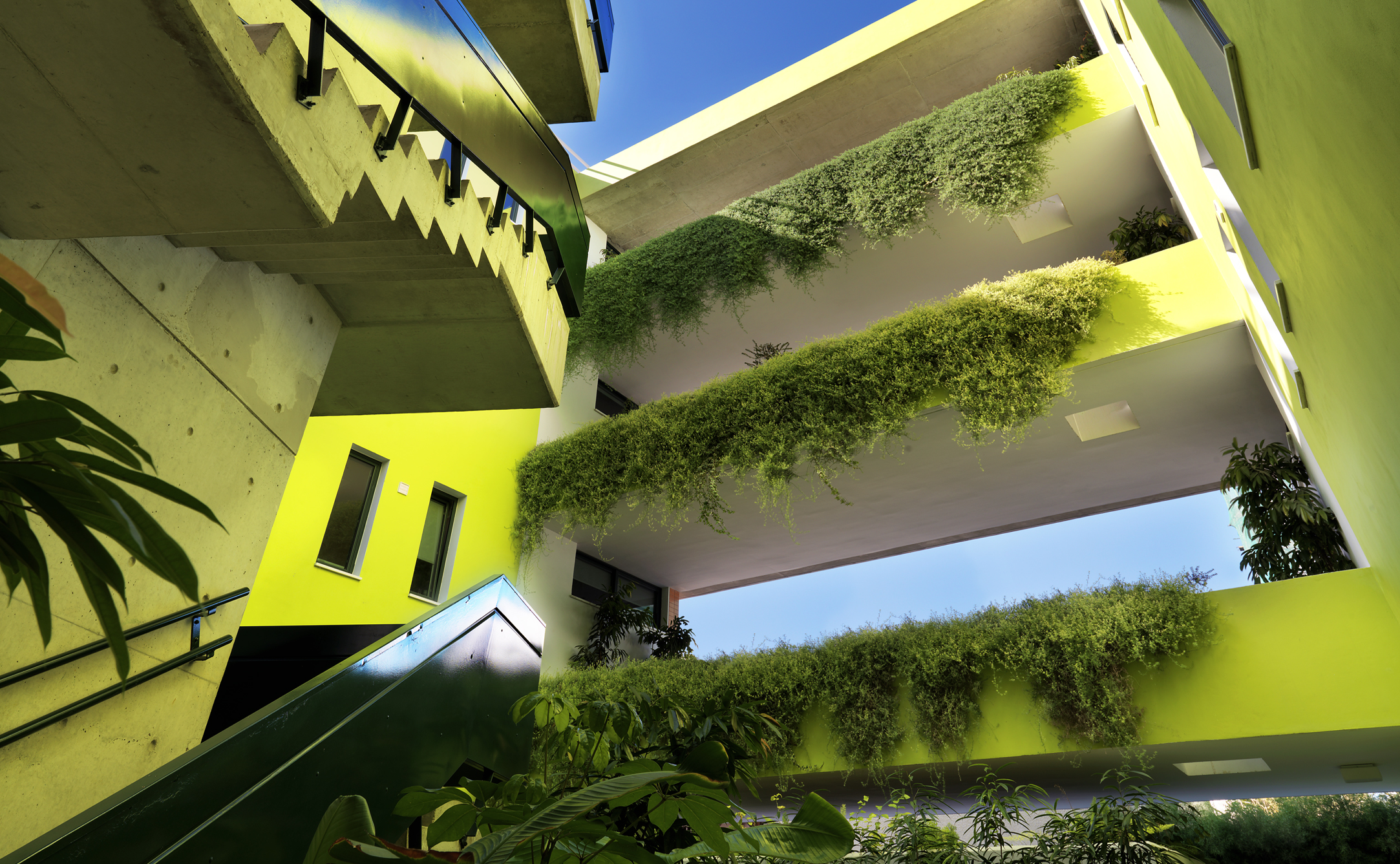 Environmental + Sustainability